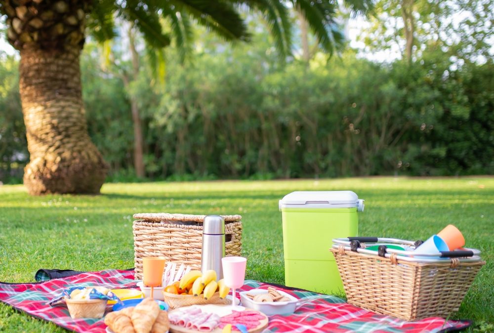 Disfruta del Mejor Picnic en el Valle del Cocora: Experiencias Únicas «Donde Juan B»