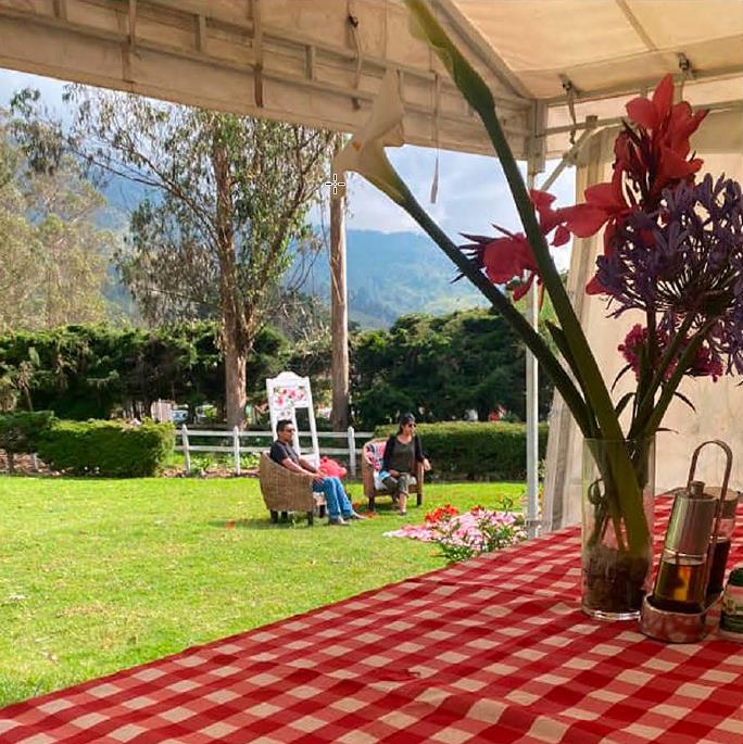 Experiencia Picnic Romántico Valle de Cocora - Imagen 3