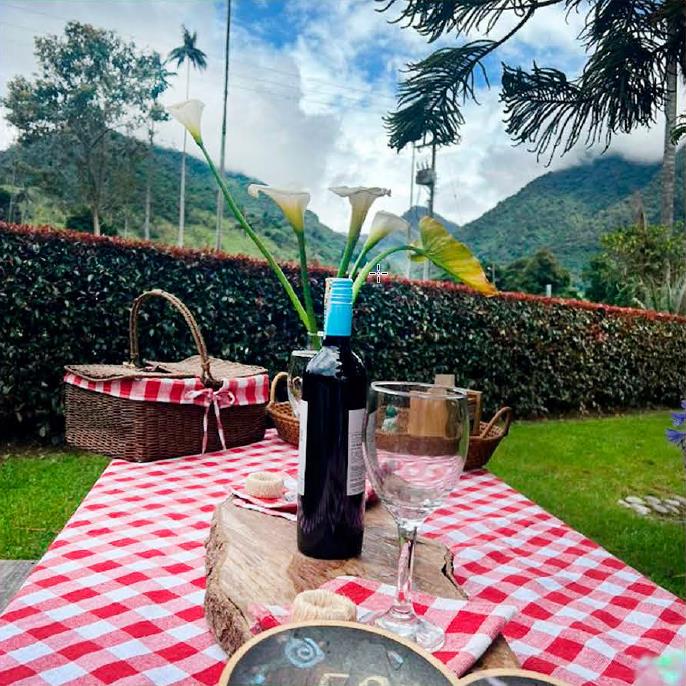 Experiencia Picnic Romántico Valle de Cocora - Imagen 2