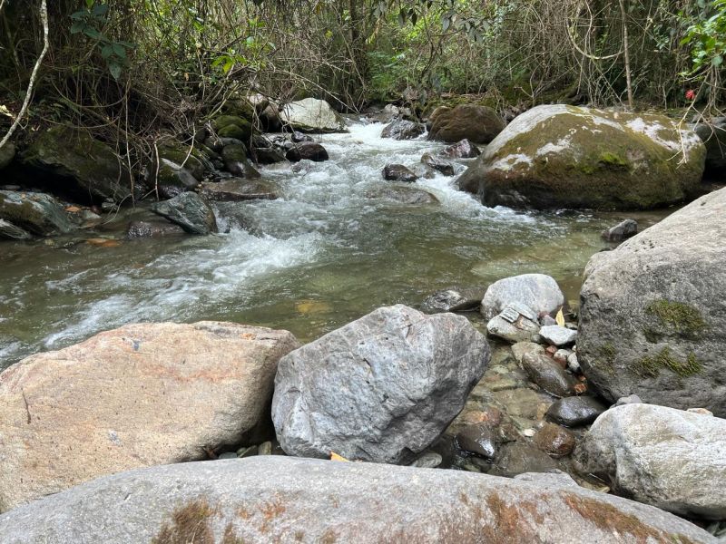 Experiencia Caminata Río Planchón Valle de Cocora - Imagen 11