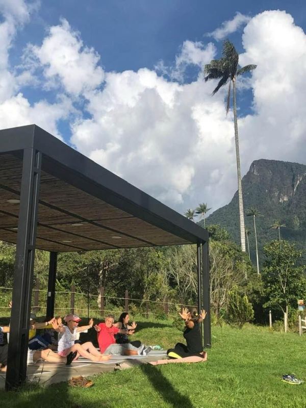 Experiencia Caminata Río Planchón Valle de Cocora - Imagen 8