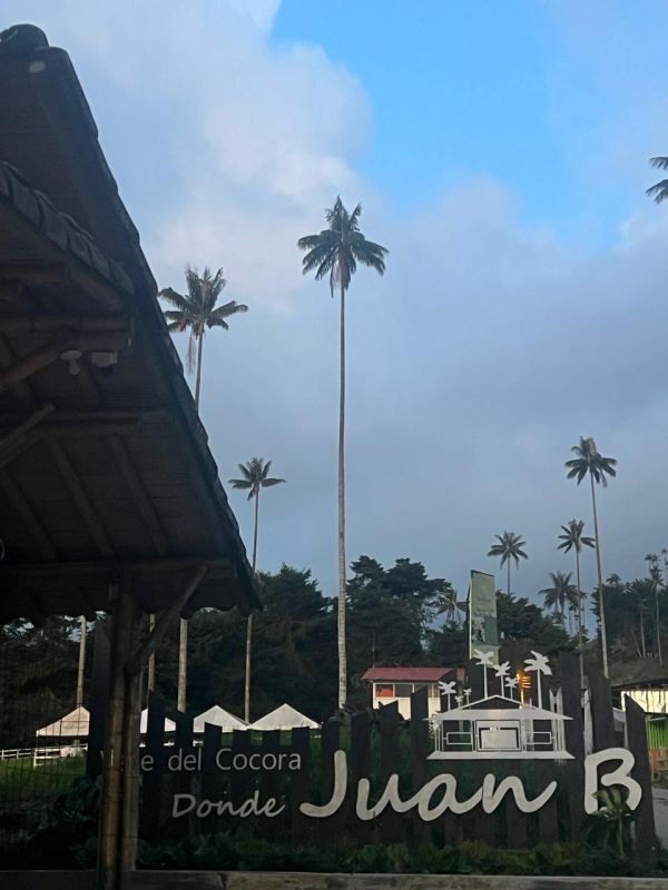 Experiencia Caminata Río Planchón Valle de Cocora - Imagen 7