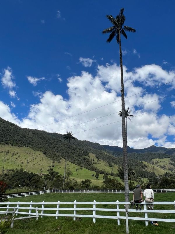 Experiencia Caminata Río Planchón Valle de Cocora - Imagen 6