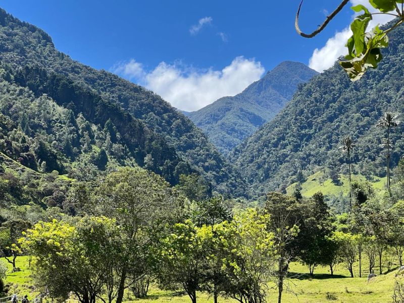 Experiencia Caminata Río Planchón Valle de Cocora - Imagen 4