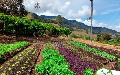 Un Día en la Huerta Orgánica de Donde Juan B: Conectando con la Naturaleza y la Gastronomía