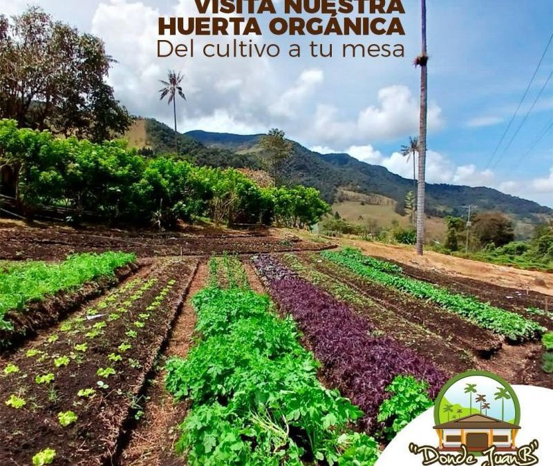 Un Día en la Huerta Orgánica de Donde Juan B: Conectando con la Naturaleza y la Gastronomía