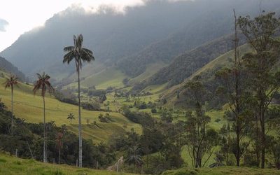 Hospedaje Valle del Cocora