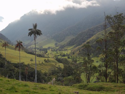Hospedaje Valle del Cocora