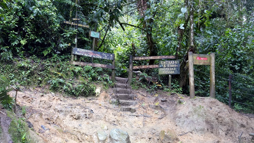 Experiencia Reserva Natural Acaime