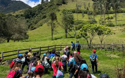 Descubriendo el Arte del Ordeño y la Transformación de Lácteos: Una Experiencia Inolvidable en la Granja