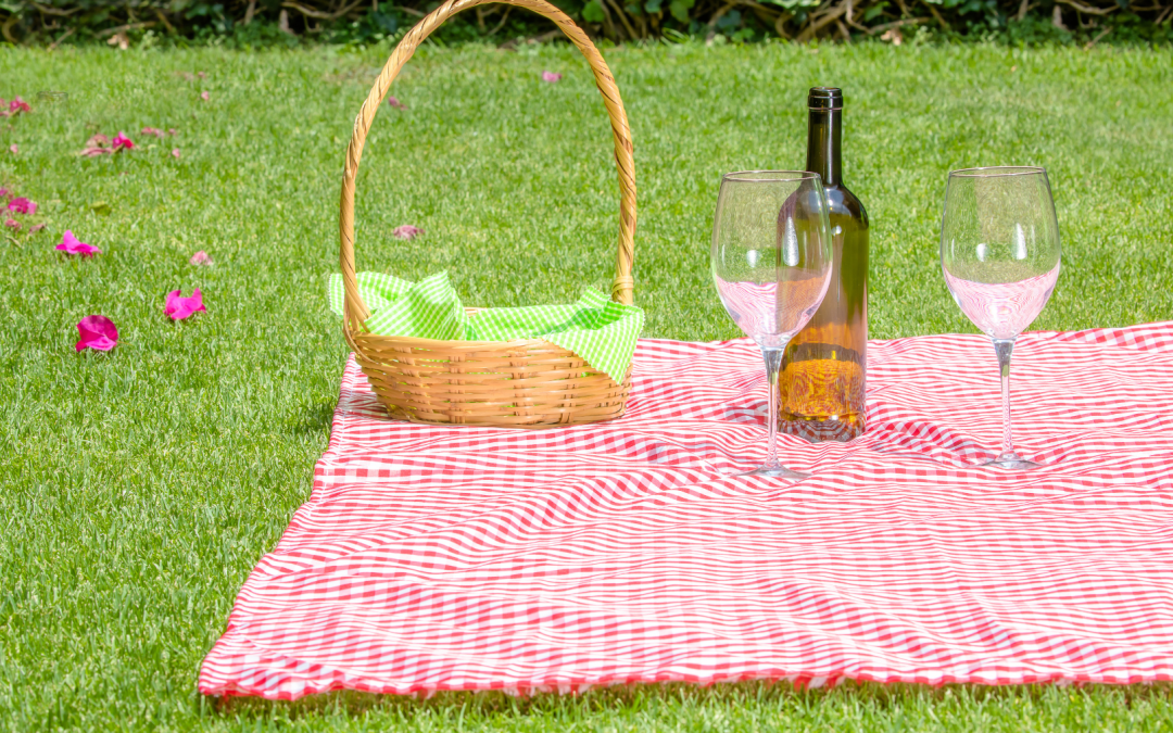 Experiencia Picnic Romántico y Paisaje de Palmas de Cera