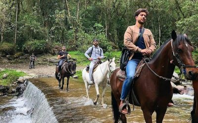 Experiencia Épica: Cabalgata por el Valle del Cocora