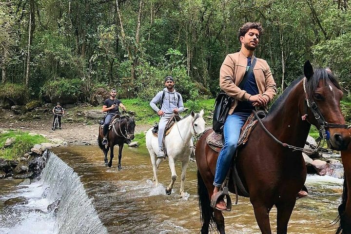 Experiencia Épica: Cabalgata por el Valle del Cocora