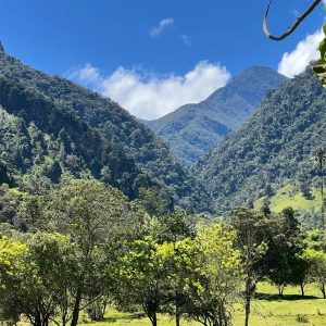 Experiencia Caminata Río Planchón Valle de Cocora