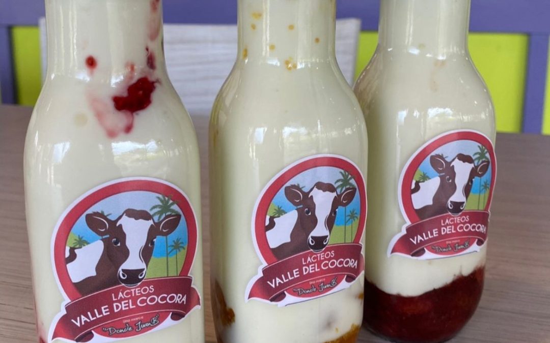 Ruta de los Lácteos en el Valle del Cocora: Una Experiencia Inolvidable