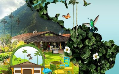 Valle de Cocora: Aventura, Naturaleza y Sabor Local en Bosques de Cocora Donde Juan B