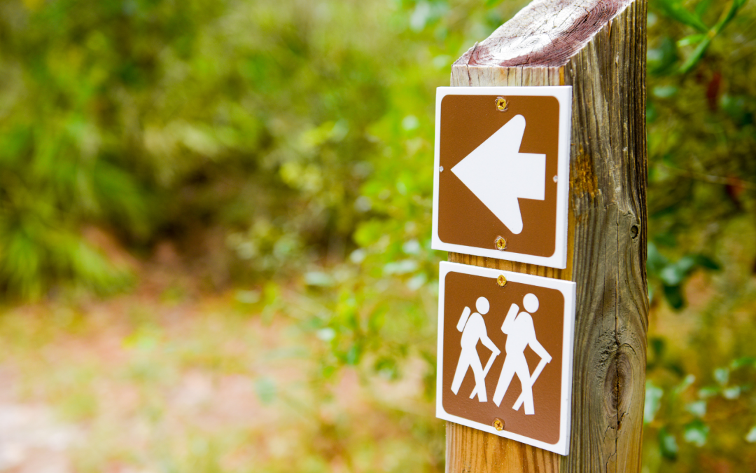 Las Mejores Rutas de Senderismo en el Valle de Cocora: Guía Completa para Aventureros