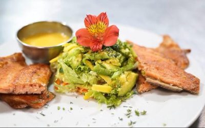 Gastronomía Consciente y Auténtica en Bosques de Cocora Juan B: Sabores Locales y Orgánicos