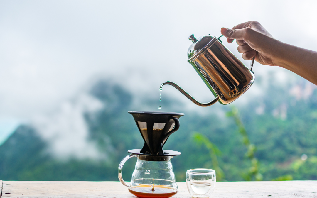 La Ruta del Café en el Valle del Cocora: De la Planta a tu Taza en Donde Juan B