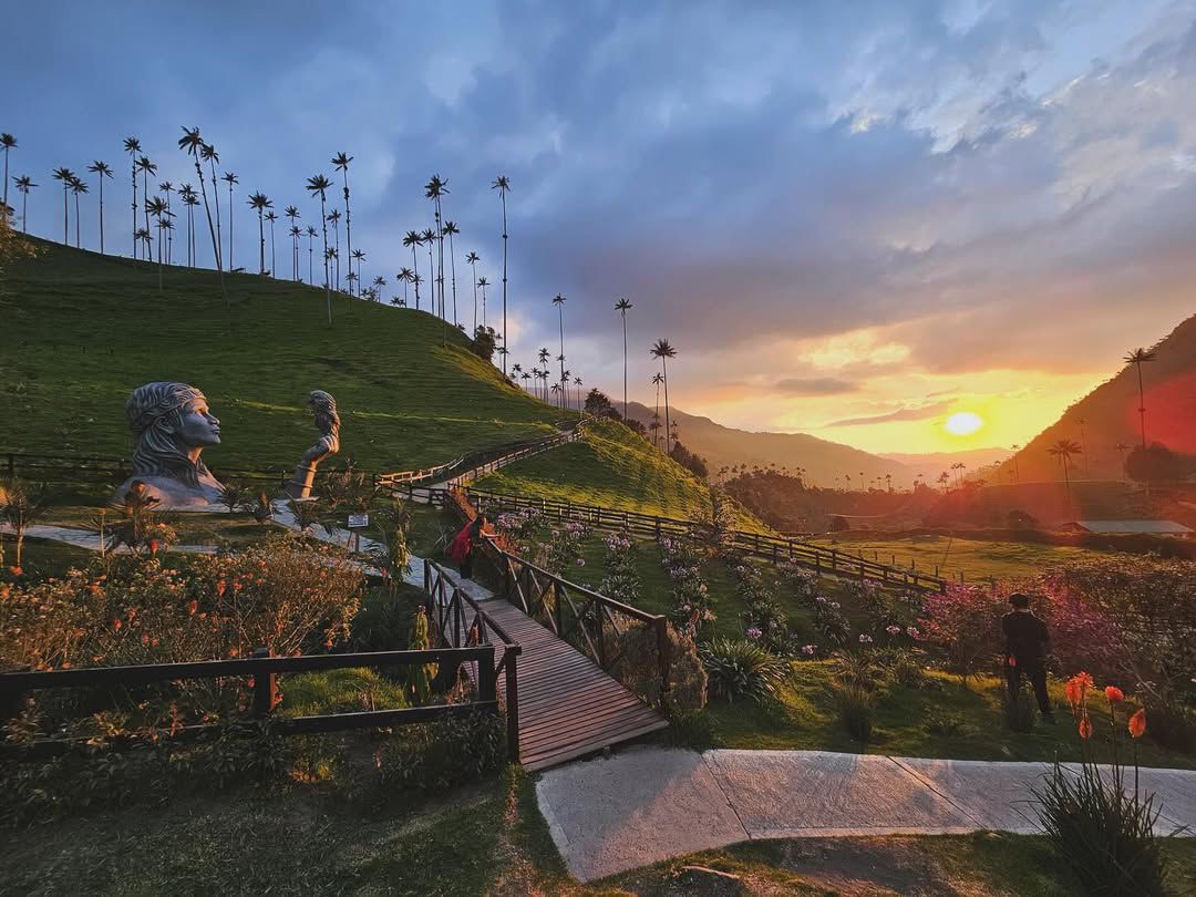 Experiencia Bosque de Palmas - Imagen 8