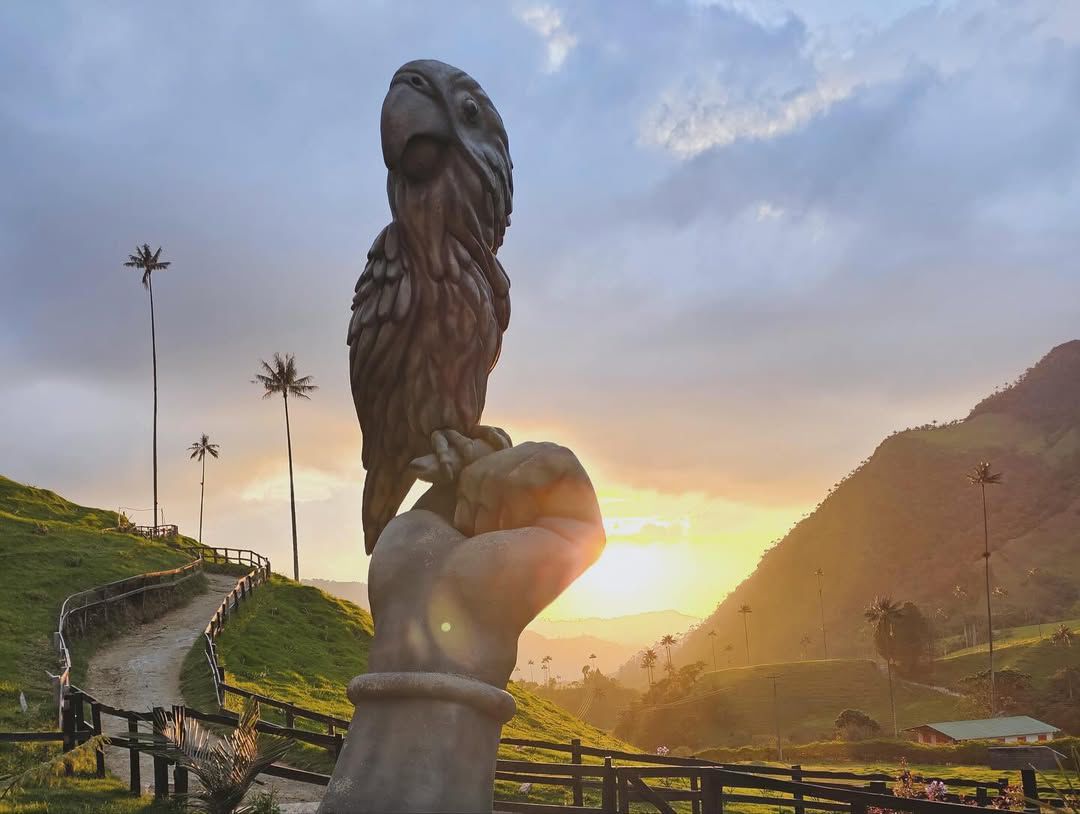 Experiencia Bosque de Palmas - Imagen 2