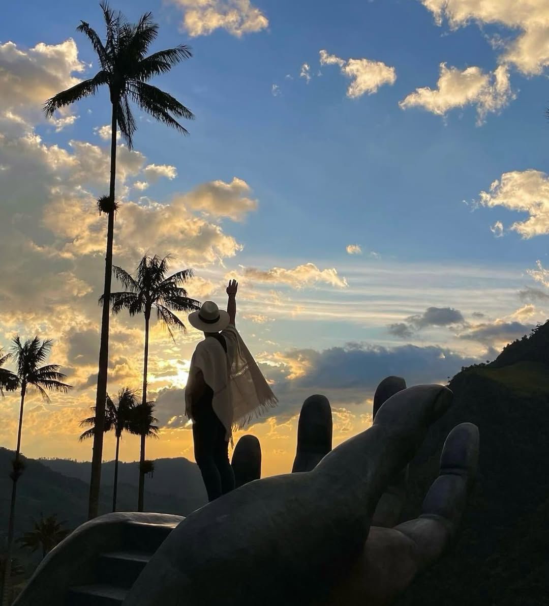 Experiencia Bosque de Palmas - Imagen 4