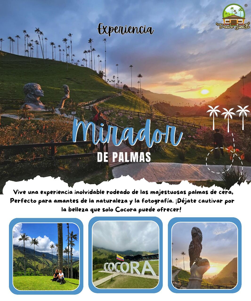 Experiencia Bosque de Palmas