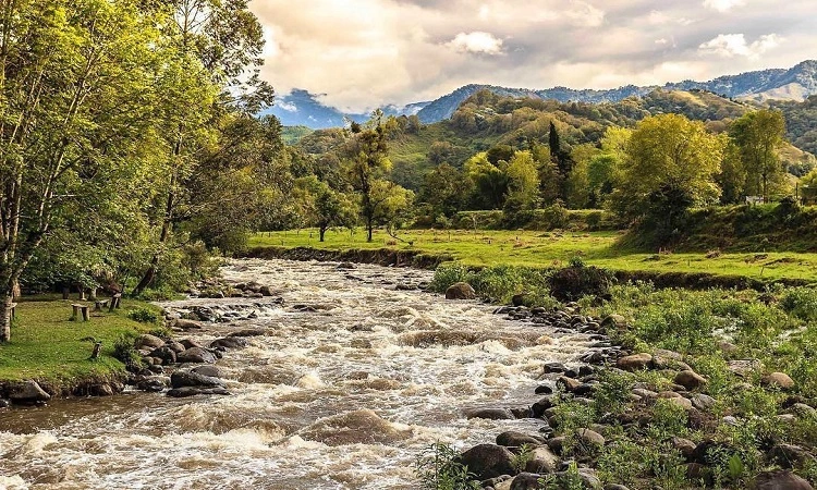 Secretos del Valle de Cocora: Rutas menos conocidas para disfrutar de la naturaleza sin multitudes